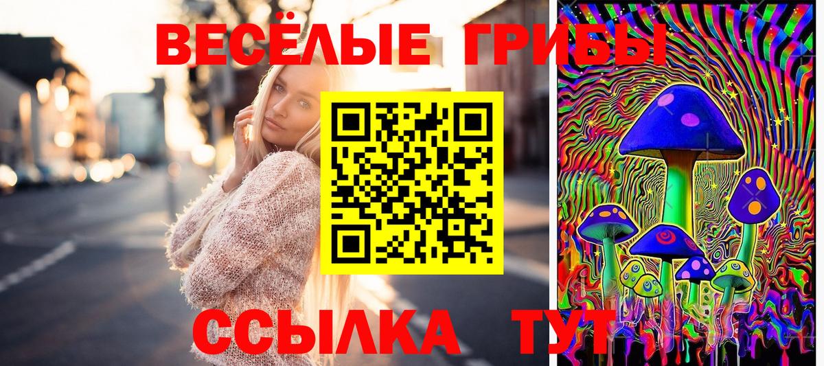 Азнакаево  Галлюциногенные грибы GOLDEN TEACHER  Вход с VPN 